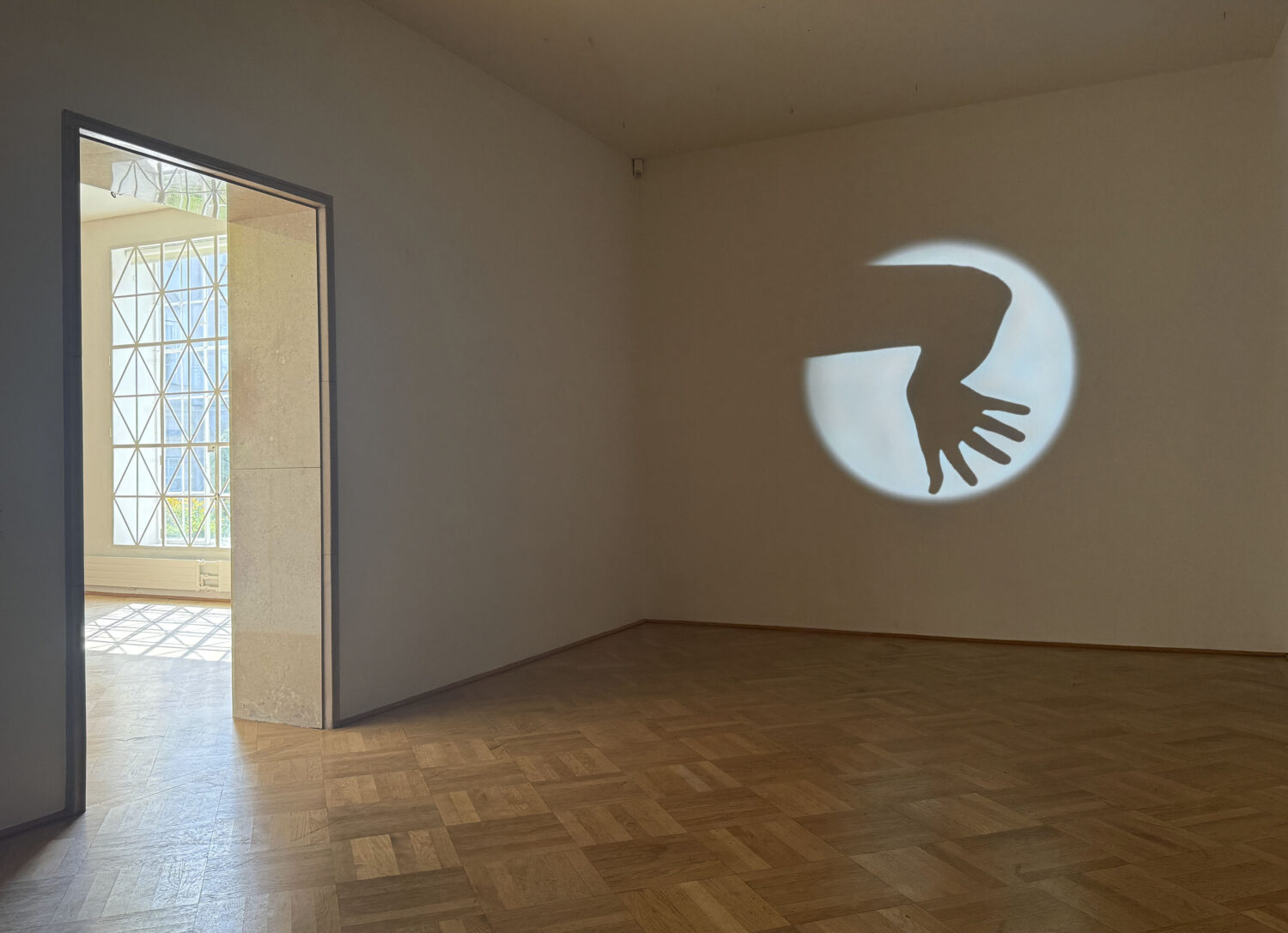 19a U Lienbacher Stadtgalerie 4913 b